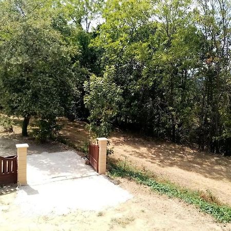 Chalet El Cant Dels Ocells Fillols Zewnętrze zdjęcie