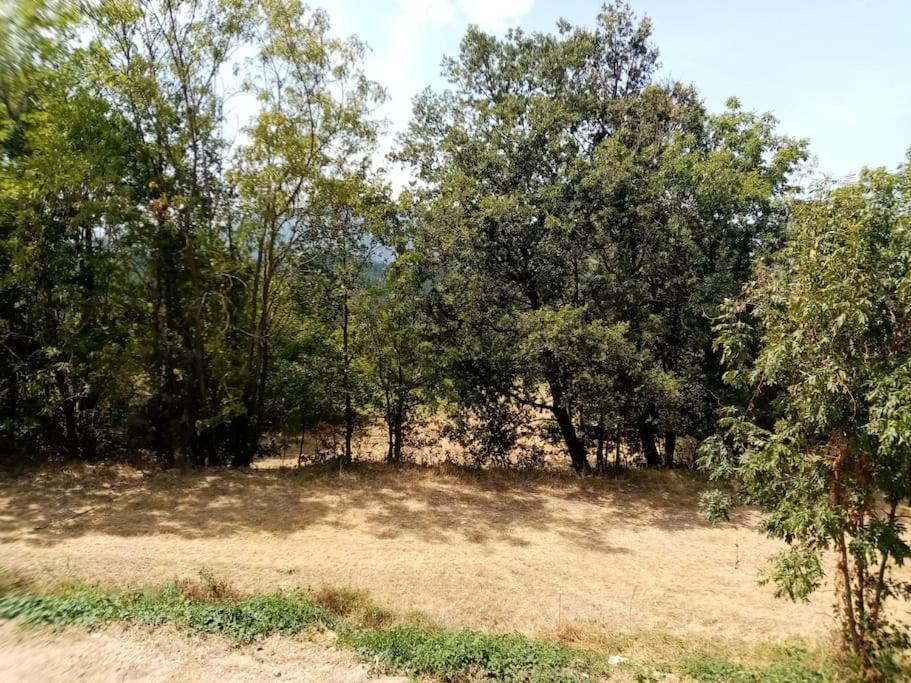 Chalet El Cant Dels Ocells Fillols Zewnętrze zdjęcie